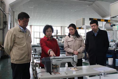 中国缝制机械协会视察